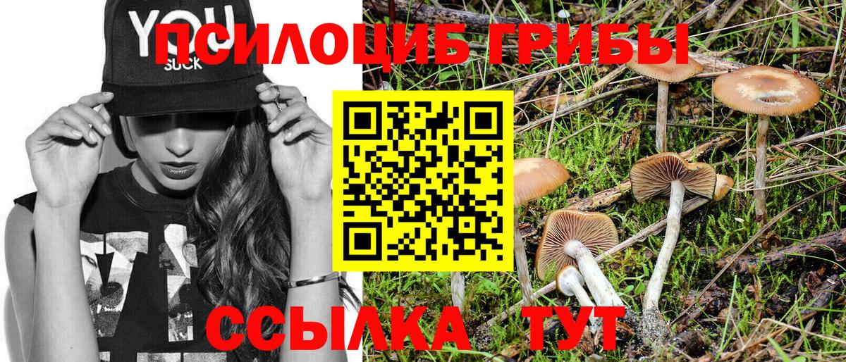 Ростов-на-Дону  Галлюциногенные грибы MAGIC MUSHROOMS  Вход с VPN 